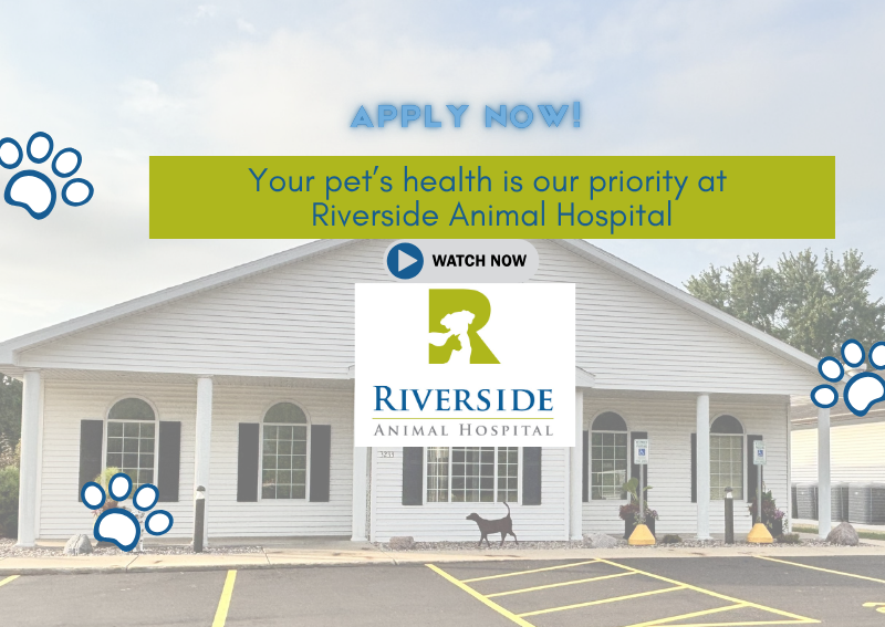 Carousel Slide 1: Check out our Highlight Video!