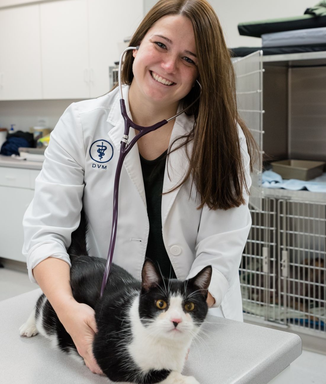 Preventive Care for Cats