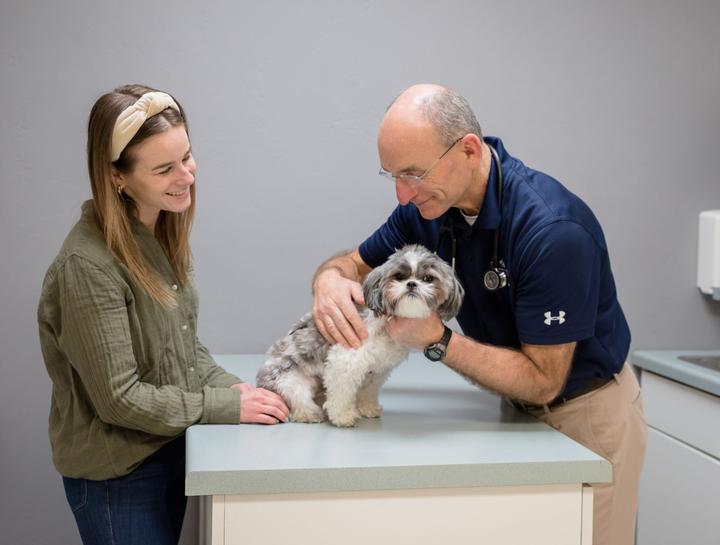 Preventive Care for Dogs